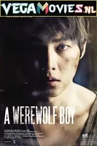 a werewolf boy 2012
