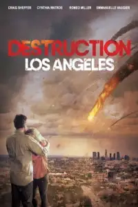 destruction los angeles 2017