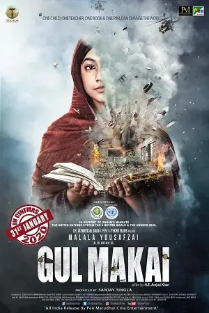 gul makai 2020