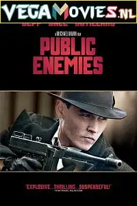 public enemies 2009