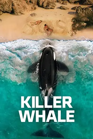 killer whale 2026